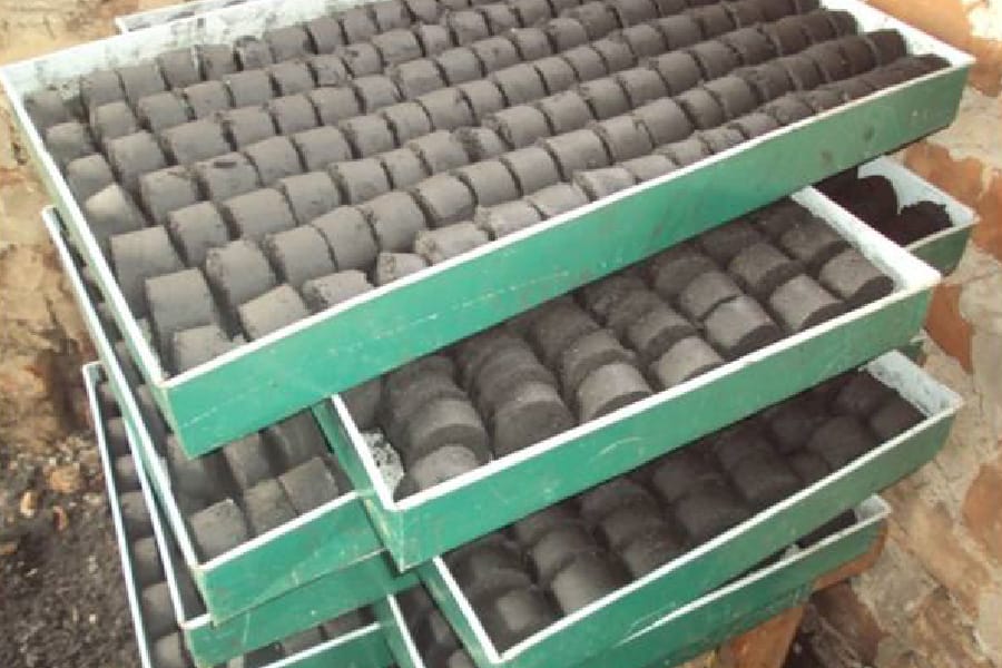 Briquetting Machines and Training 