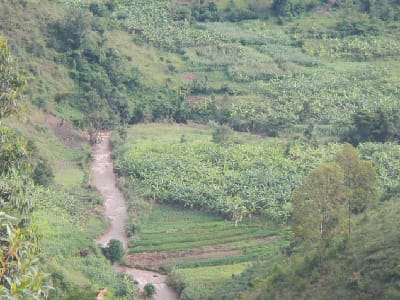Nkenda to Bunia (DR Congo) 220Kv Transmission Power Line