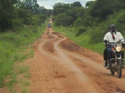 ESIA for Bukwiri- Kyankwanzi Road