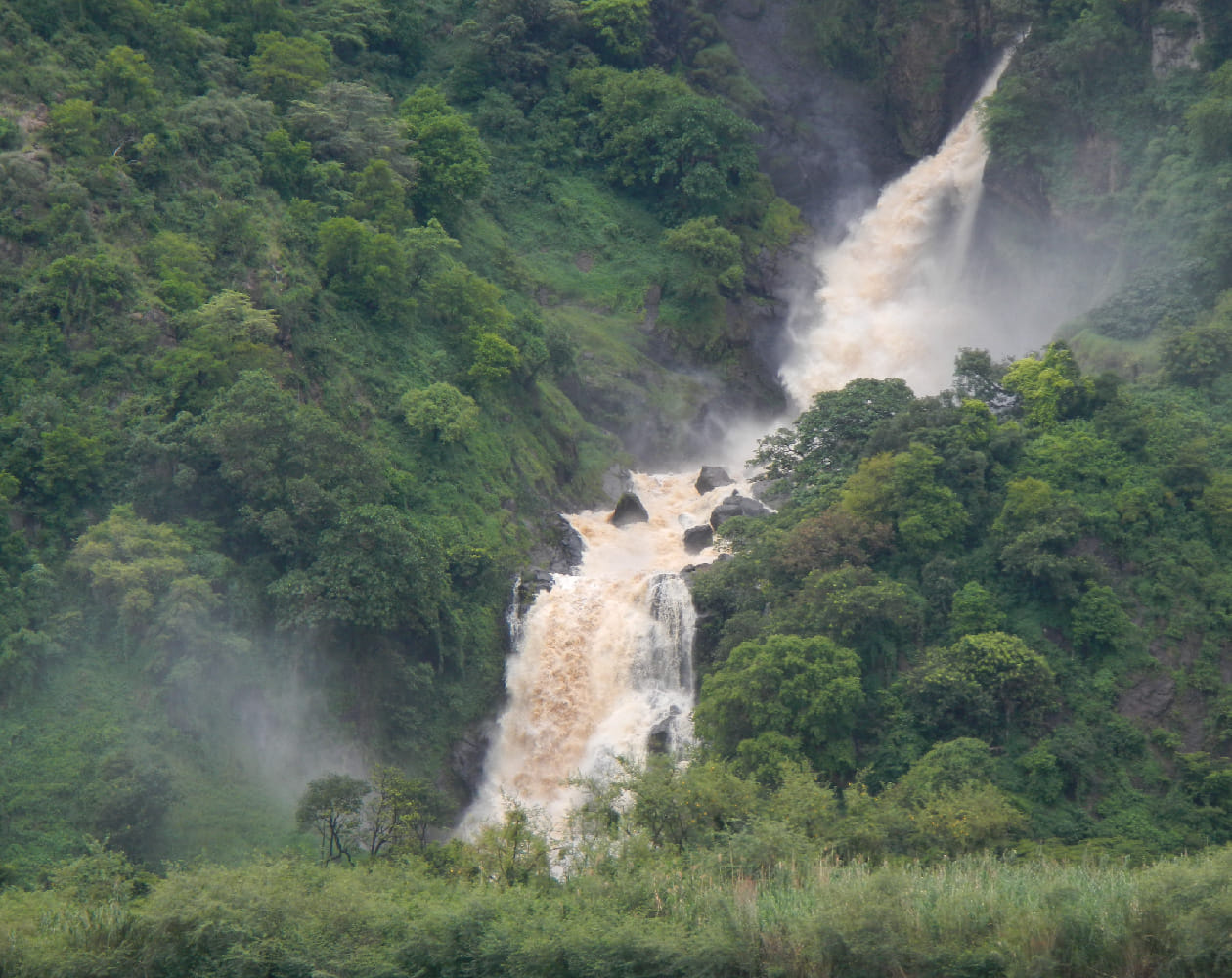 Environmental Management Services